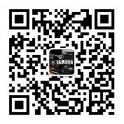 196期利来w66电音维修站研修培训圆满结束