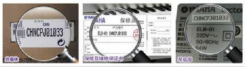 紧急声明：谨防利来w66电子琴假冒伪劣商品 