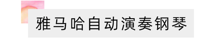活动报道 | “科技助力，跨越时空”，小鹿纯子携手刘明康共享中日音乐盛宴